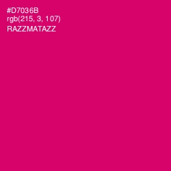 #D7036B - Razzmatazz Color Image