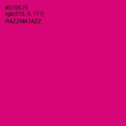 #D70575 - Razzmatazz Color Image