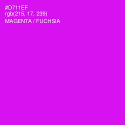 #D711EF - Magenta / Fuchsia Color Image