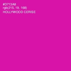 #D713A8 - Hollywood Cerise Color Image