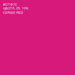 #D7197C - Cerise Red Color Image