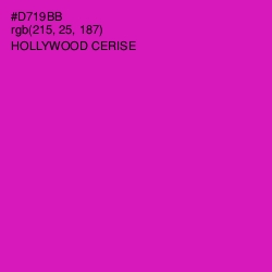 #D719BB - Hollywood Cerise Color Image