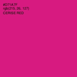 #D71A7F - Cerise Red Color Image