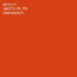 #D74117 - Grenadier Color Image