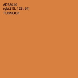 #D78040 - Tussock Color Image