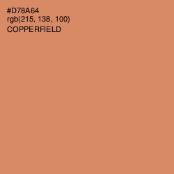 #D78A64 - Copperfield Color Image