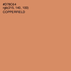 #D78C64 - Copperfield Color Image