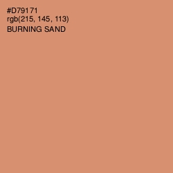 #D79171 - Burning Sand Color Image