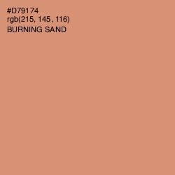 #D79174 - Burning Sand Color Image