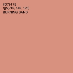 #D7917E - Burning Sand Color Image