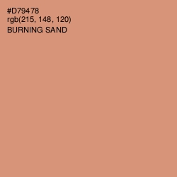 #D79478 - Burning Sand Color Image