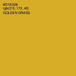 #D7AD28 - Golden Grass Color Image