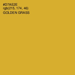 #D7AE2E - Golden Grass Color Image