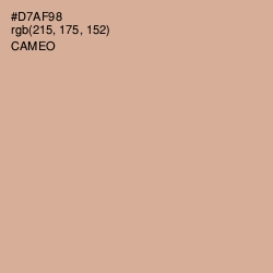 #D7AF98 - Cameo Color Image