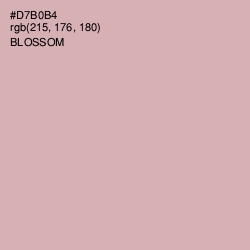 #D7B0B4 - Blossom Color Image