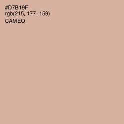 #D7B19F - Cameo Color Image