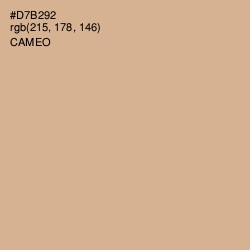 #D7B292 - Cameo Color Image