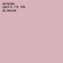 #D7B2BD - Blossom Color Image