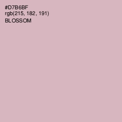 #D7B6BF - Blossom Color Image