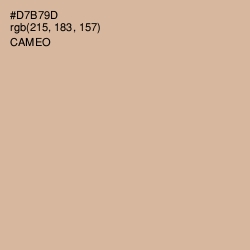 #D7B79D - Cameo Color Image