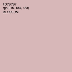 #D7B7B7 - Blossom Color Image