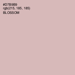 #D7B9B9 - Blossom Color Image