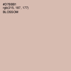 #D7BBB1 - Blossom Color Image