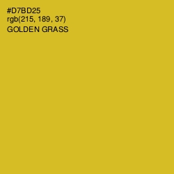 #D7BD25 - Golden Grass Color Image