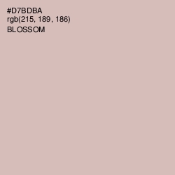 #D7BDBA - Blossom Color Image