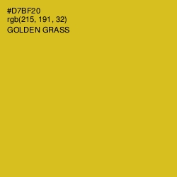 #D7BF20 - Golden Grass Color Image