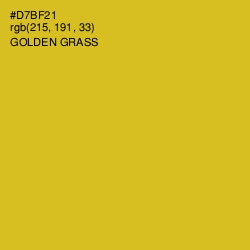 #D7BF21 - Golden Grass Color Image