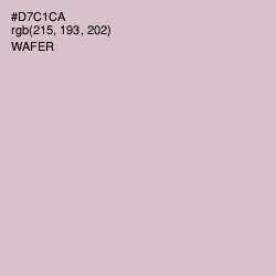 #D7C1CA - Wafer Color Image