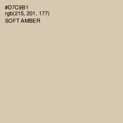 #D7C9B1 - Soft Amber Color Image