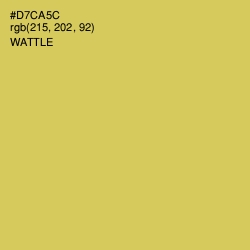 #D7CA5C - Wattle Color Image