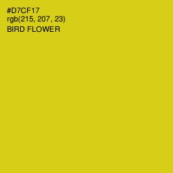 #D7CF17 - Bird Flower Color Image