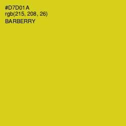 #D7D01A - Barberry Color Image