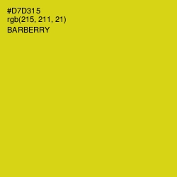 #D7D315 - Barberry Color Image