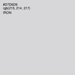 #D7D6D9 - Iron Color Image