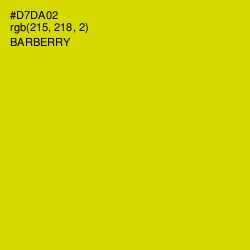 #D7DA02 - Barberry Color Image