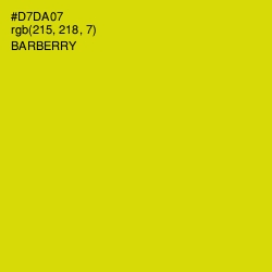 #D7DA07 - Barberry Color Image