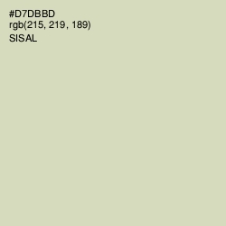 #D7DBBD - Sisal Color Image