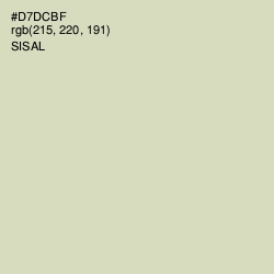 #D7DCBF - Sisal Color Image