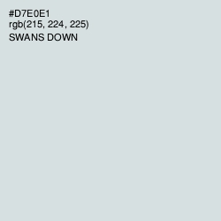#D7E0E1 - Swans Down Color Image