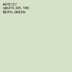 #D7E1C7 - Beryl Green Color Image