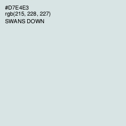 #D7E4E3 - Swans Down Color Image