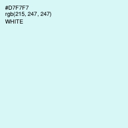 #D7F7F7 - Foam Color Image