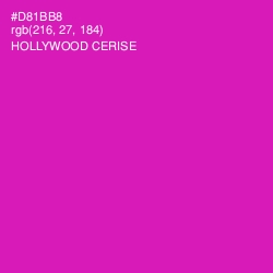 #D81BB8 - Hollywood Cerise Color Image