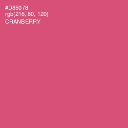 #D85078 - Cranberry Color Image