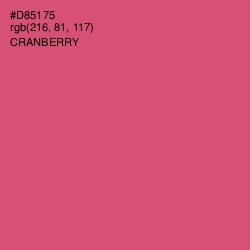 #D85175 - Cranberry Color Image