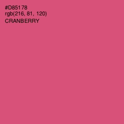 #D85178 - Cranberry Color Image